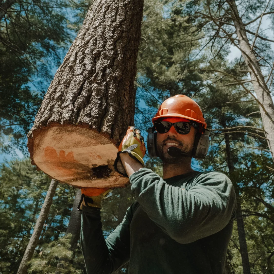 Tree Masters Contact